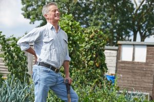 ING_39524_00928-300x200 15 Quick Tips For Safe Gardening In The Fall [Must-Read Advice To Avoid Gardening Injuries]